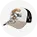 OPREMA