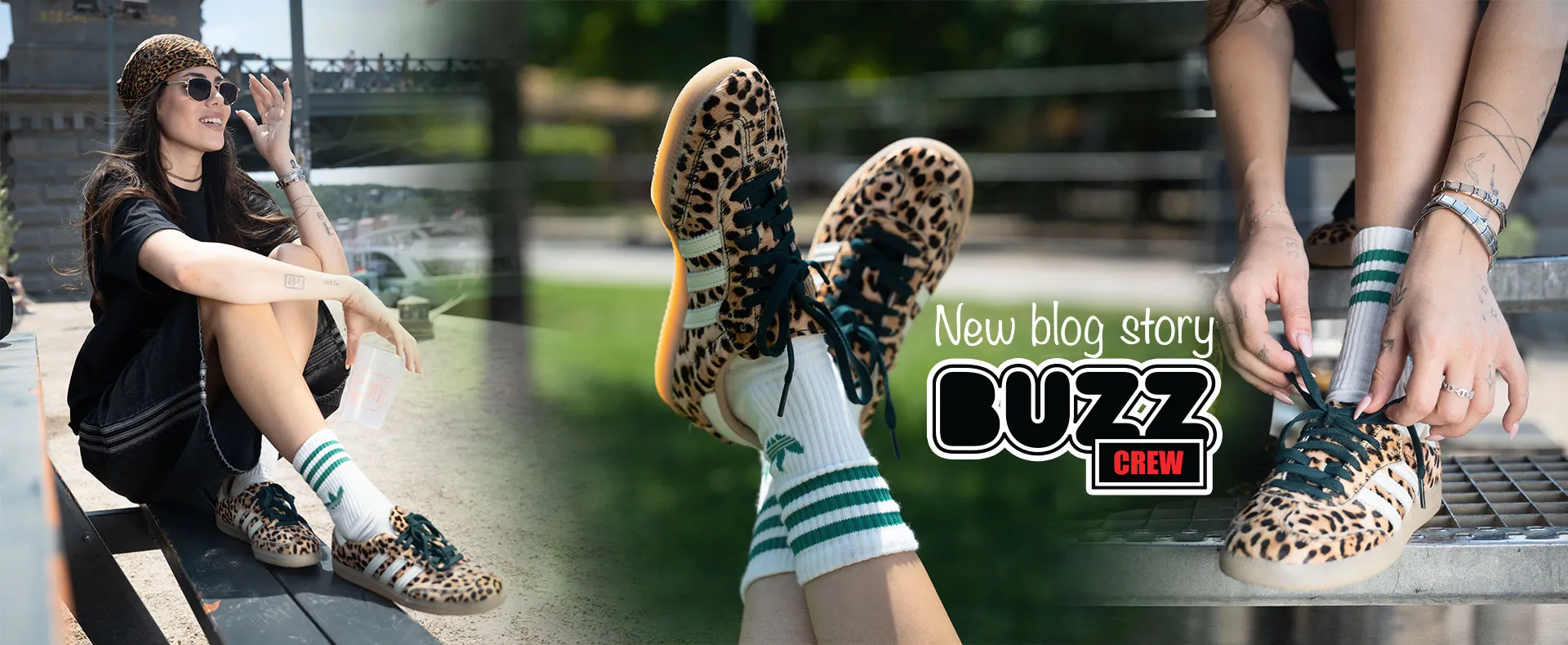 blog story
