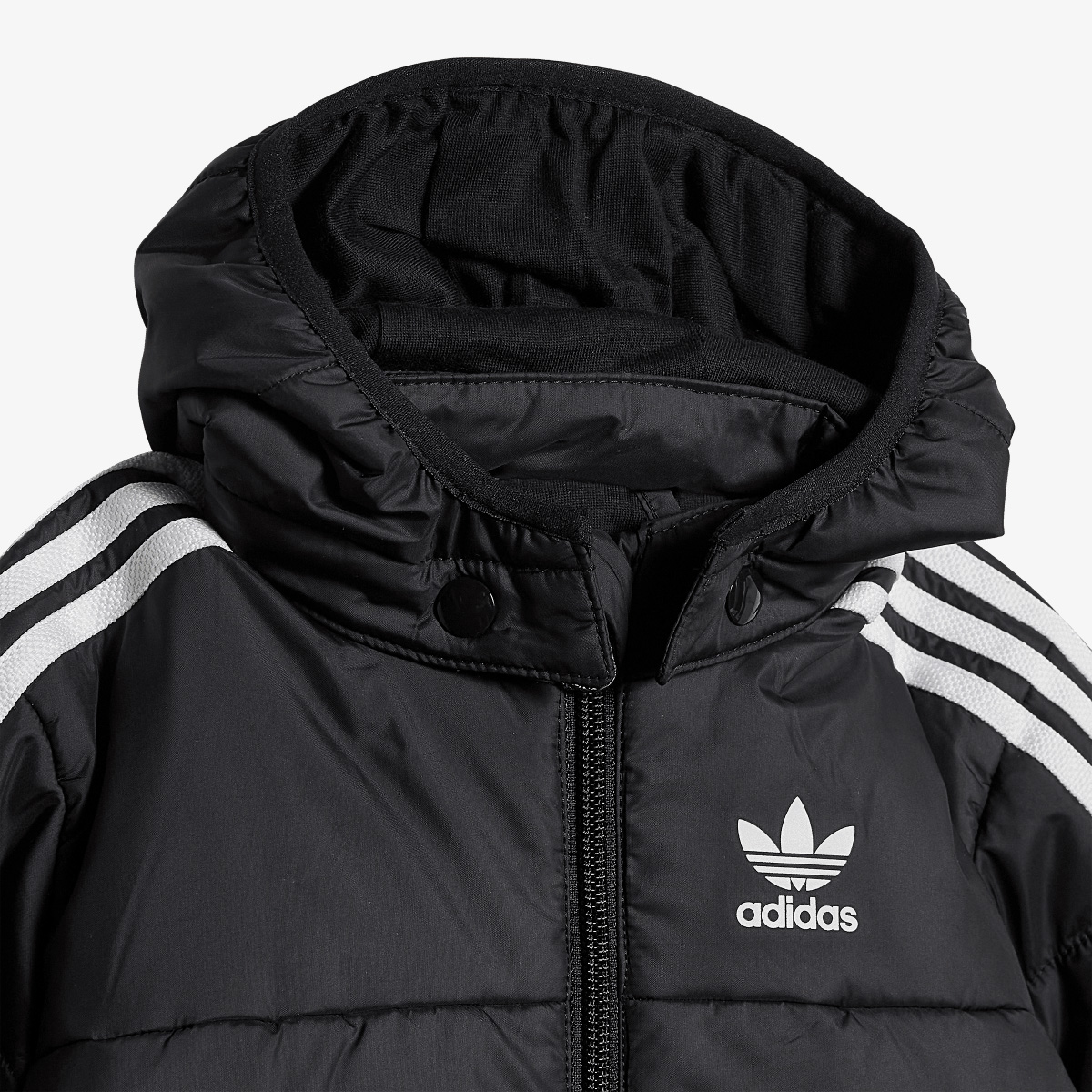 adidas Jakna Padded 