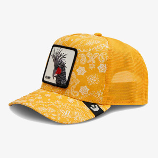 Goorin Bros Kačket Circwool of Life 