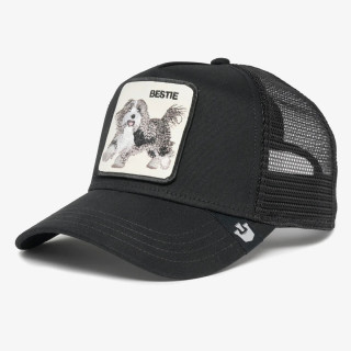 Goorin Bros Kačket Circwool of Life 