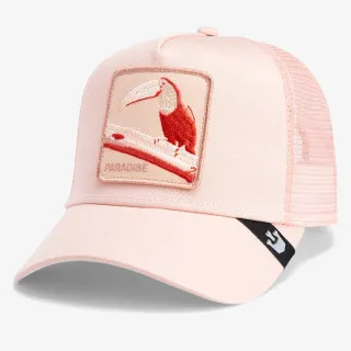 Goorin Bros Kačket Toucan Mirage 