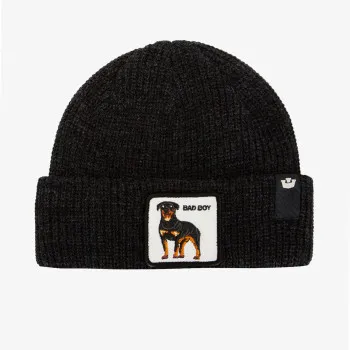 Goorin Bros Kapa The Bad Boy Dog Beanie 