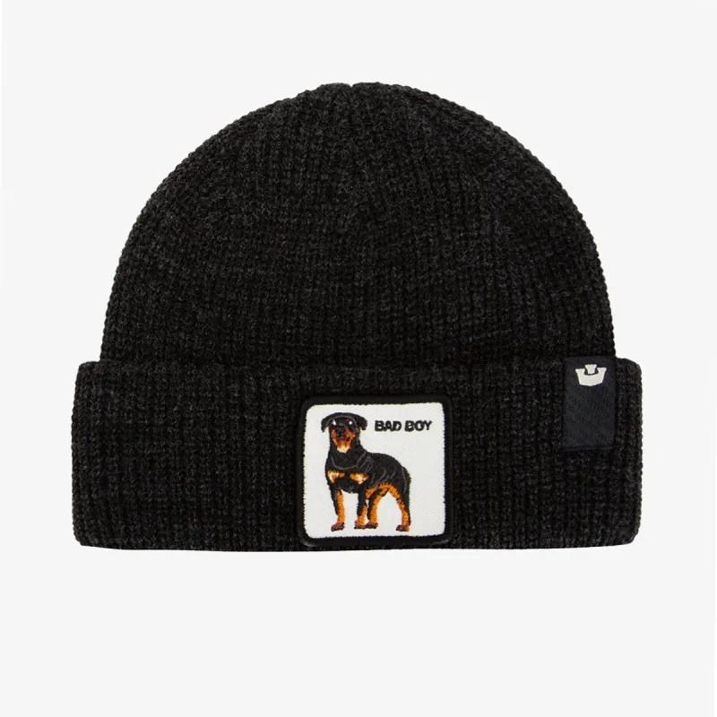 Goorin Bros Kapa The Bad Boy Dog Beanie 