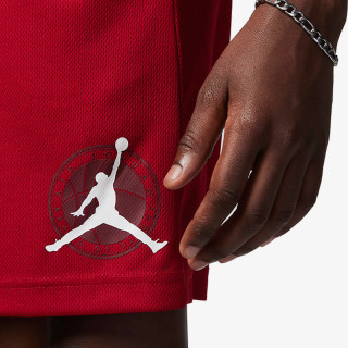 Nike Šorc Jordan 