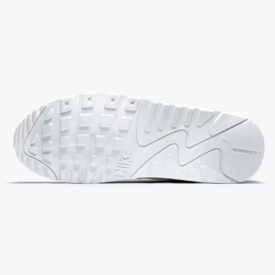 Nike Patike WMNS AIR MAX 90 LEA 