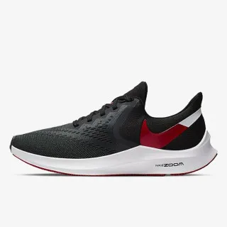 Nike Patike NIKE ZOOM WINFLO 6 