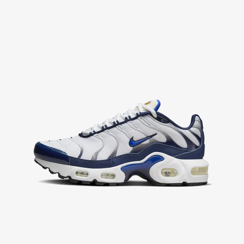 Air max plus le bg online