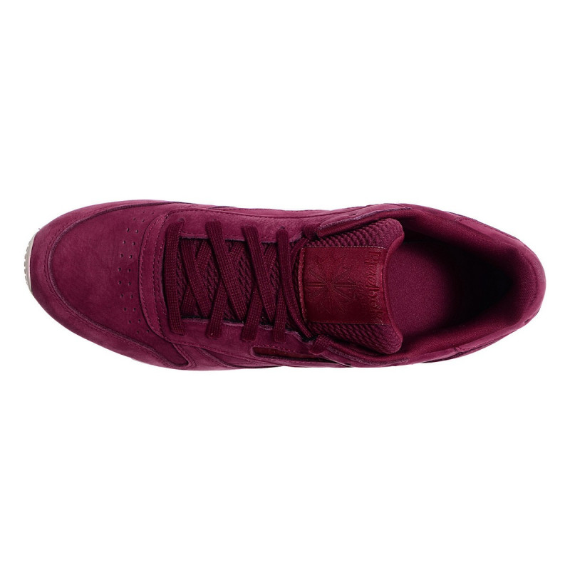 Cn5484 best sale