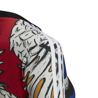 adidas Jednodijelni kupaći kostim BODYSUIT LS 
