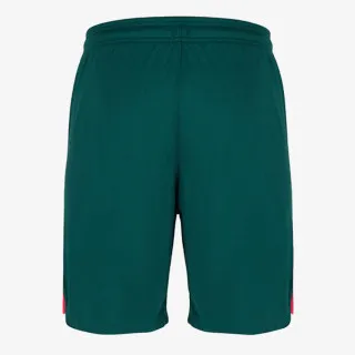 Nike Šorc LFC M NK DF STAD SHORT 3R 