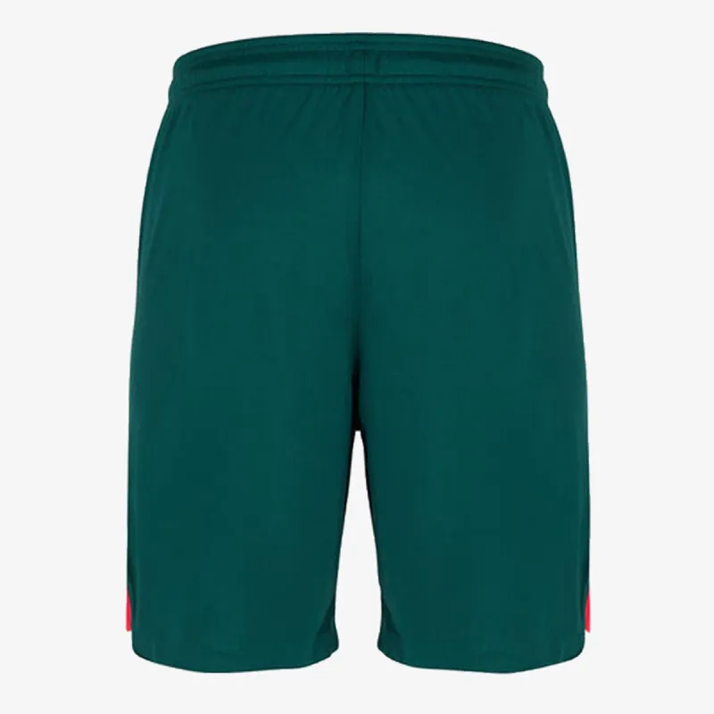 Nike Šorc LFC M NK DF STAD SHORT 3R 
