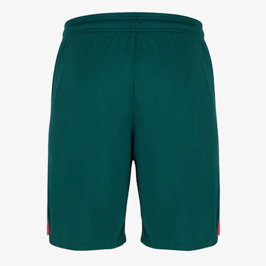 Nike Šorc LFC M NK DF STAD SHORT 3R 