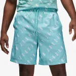 Nike Šorc Jordan Essentials 