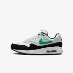 Nike Patike Air Max 1 