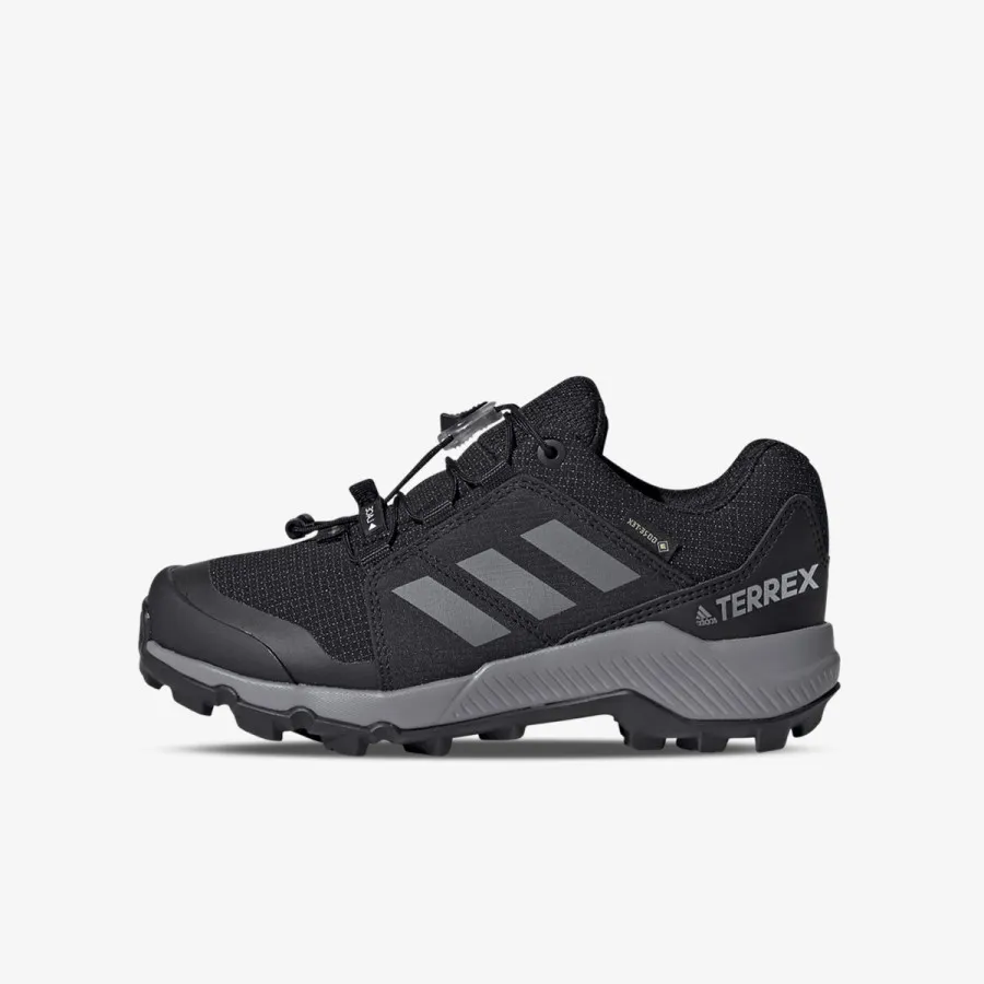 adidas Patike TERREX GORE-TEX 