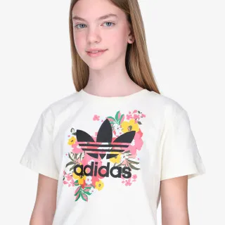 adidas Majica TEE 