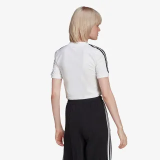 adidas Majica CROPPED TEE 