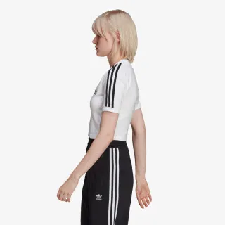 adidas Majica CROPPED TEE 