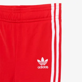 adidas Trenerka Adicolor 