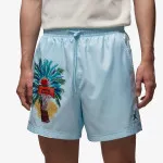 Nike Šorc Jordan Essentials 