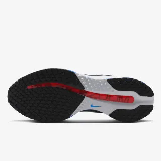 Nike Patike NIKE PEGASUS PREMIUM CM 