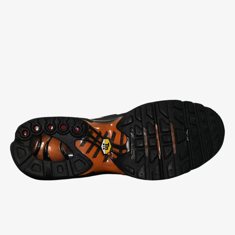 Nike Patike NIKE AIR MAX PLUS FL 2 