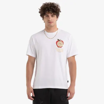 FRANKLIN & MARSHALL Majica T-SHIRT 