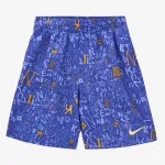 Nike Šorc Blender 