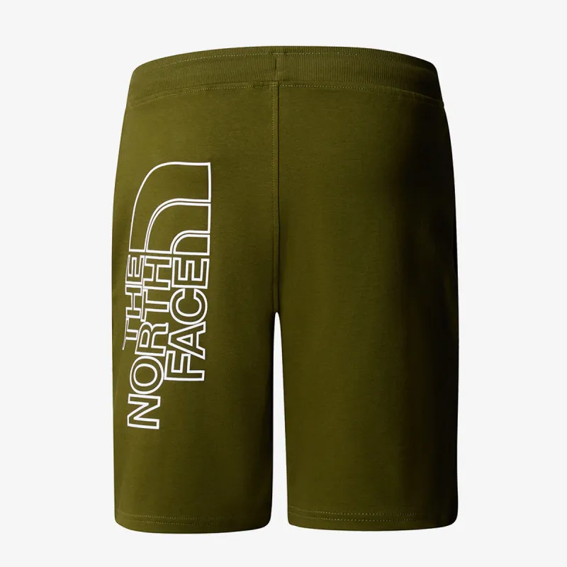 The North Face Šorc Graphic 